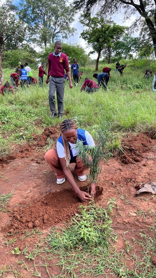 Rotaract Club of Zetech University at the tree planting event